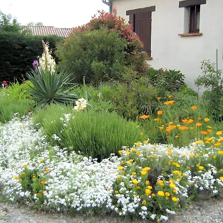 La Lavande * Lherm (Haute-Garonne)